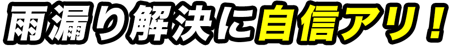 雨漏り解決に自身あり！