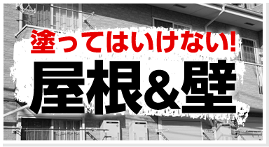 塗装できない屋根や壁もあります