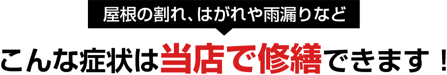 こんな症状は当店で修繕できます